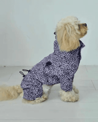 Одяг DOGS BOMBA M-125/9 Дощовик з фіксаторами леопард 9 4667 Україна