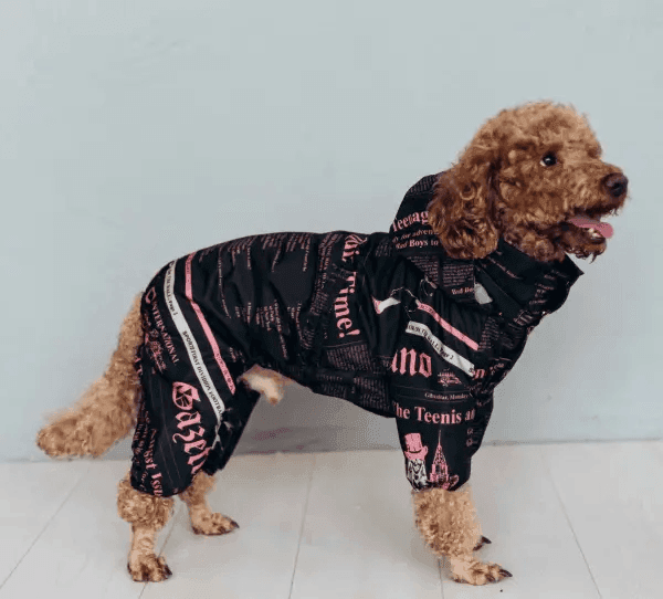 Одяг DOGS BOMBA M-97/9 Дощовик із прихованим капюшоном газета рожевий 9 4691 Україна