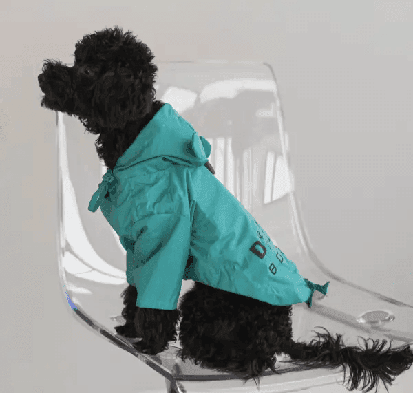 Одяг DOGS BOMBA M-72/3 Дощовик парка DB бірюзовий 3 4711 Україна