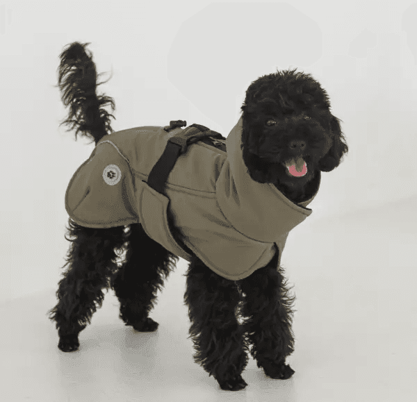 Одяг DOGS BOMBA GP-5/10 Жилет попона хакi 10 5127 Україна