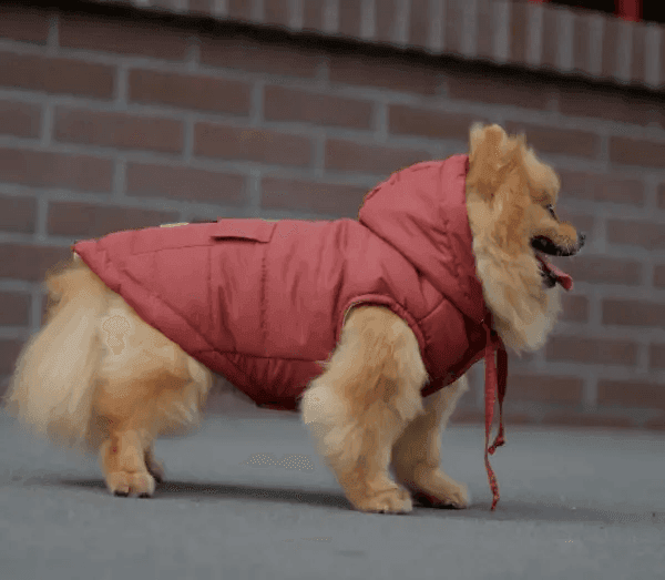 Одяг DOGS BOMBA G-80/8 Жилет кишеня цегляний колiр 8 4776 Україна