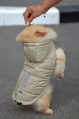 Одяг DOGS BOMBA G-81/9 Жилет кишеня олива 9 4781 Україна