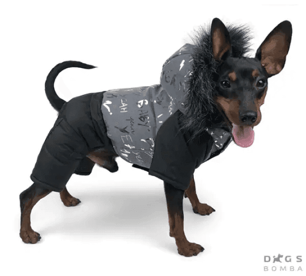 Одяг DOGS BOMBA A-61/9 Зимовий комбінезон з світловідбиваючої тканини 9 4794 Україна