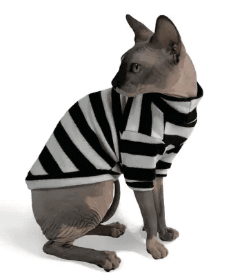 Одяг DOGS BOMBA SC-14/5 Светр  смугастий 5 4808 Україна