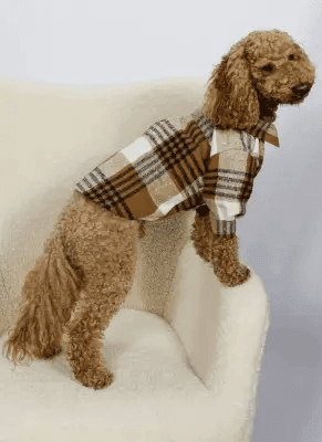 Одяг DOGS BOMBA RUB-63/7 Сорочка картата шоколад 7 5172 Україна