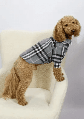 Одяг DOGS BOMBA RUB-62/7 Сорочка картата сіра 7 4861 Польща