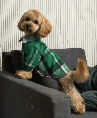 Одяг DOGS BOMBA RUB-52/7 Сорочка картата зелена 7 5173 Україна