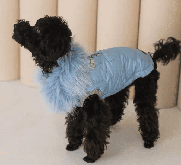 Одяг DOGS BOMBA G-89/9 Жилет Glem блакитний 9 4873 Україна