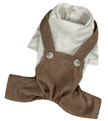 Одяг DOGS BOMBA D-211/7 Костюм із лямками вельвет шоколад 7 4883 Україна