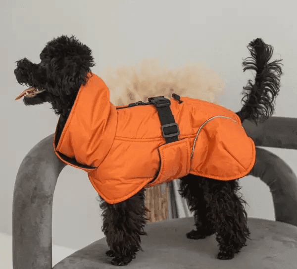 Одяг DOGS BOMBA GP-3/9 Жилет попона помаранч 9 4913 Україна