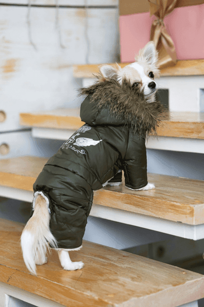 Одяг DOGS BOMBA AM-17/7 Зимовий комбінезон на хутрі Dogs Bomba хакi 7 4945 Україна