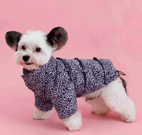 Одяг DOGS BOMBA K-82/9 Куртка з фіксаторами лео бузкова 9 4980 Україна