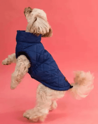 Одяг DOGS BOMBA G-41/3 Жилет стежка Dogs Bomba синій 3 5110 Україна