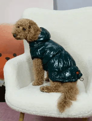 Одяг DOGS BOMBA G-105/3 Жилет лакований смарагдовий 3 5149 Україна