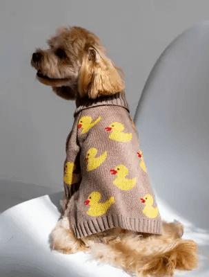 Одяг DOGS BOMBA Y-344/7 Светр в'язаний Каченята какао 7 5156 Україна