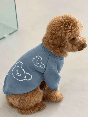 Одяг DOGS BOMBA Y-285/6 Светр в'язаний Ведмідь блакитний 6 5196 Україна